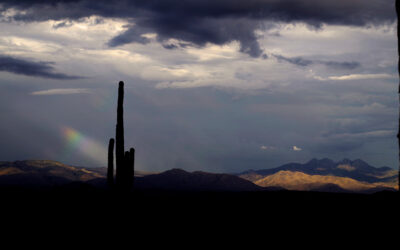 Unspeakably Eloquent Laws Of Light That Produce Rainbows